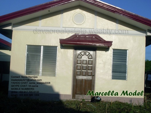 elenita heights subdivision davao marcella house and lot. davao houses for sale.